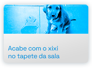 acabe-com-o-xixi-no-tapete-da-sala