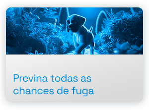 previna-todas-as-chances-de-fuga