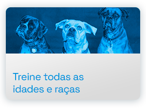 treine-todas-as-idades-e-racas-copiar